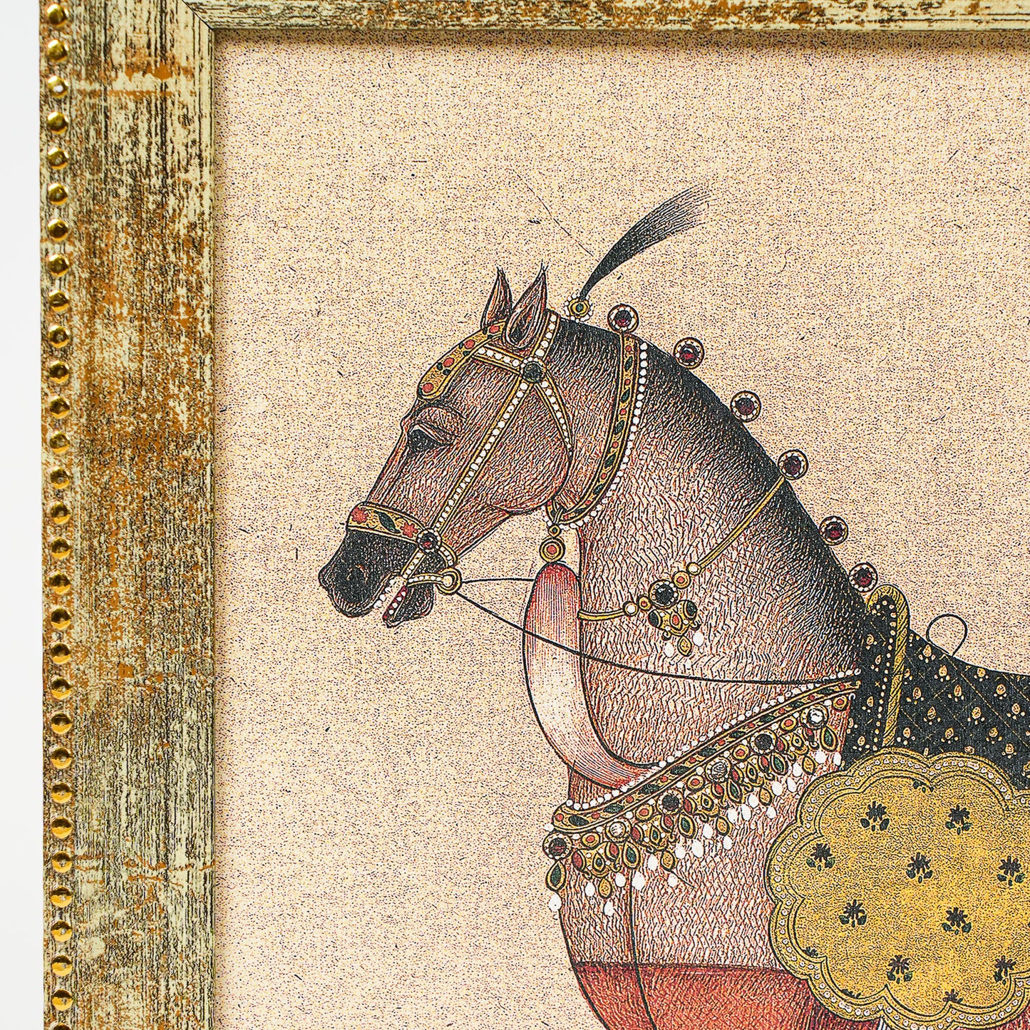Equine Grace Frames