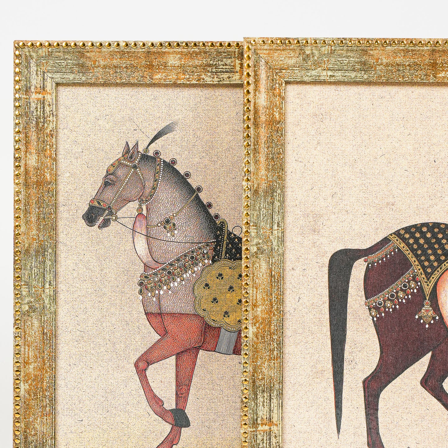Equine Grace Frames