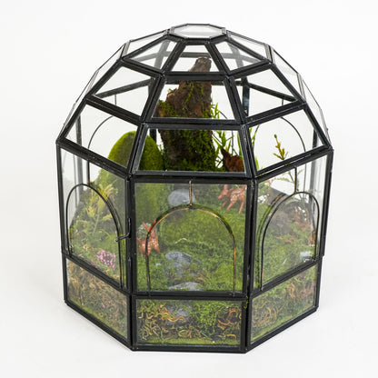 Wonderland Terrarium