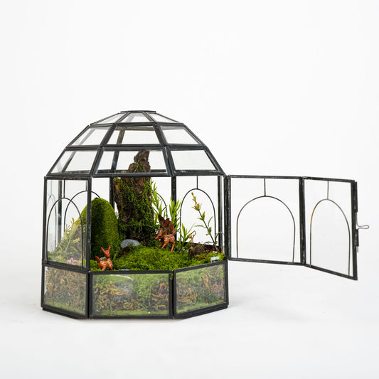 Wonderland Terrarium