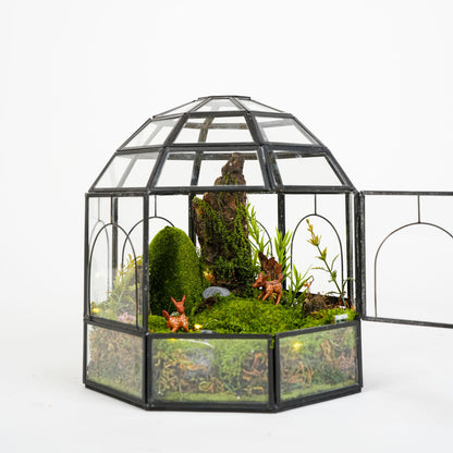 Wonderland Terrarium