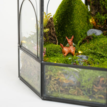 Wonderland Terrarium