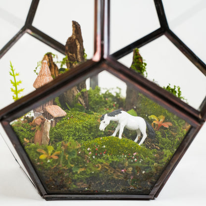 Fern Hollow