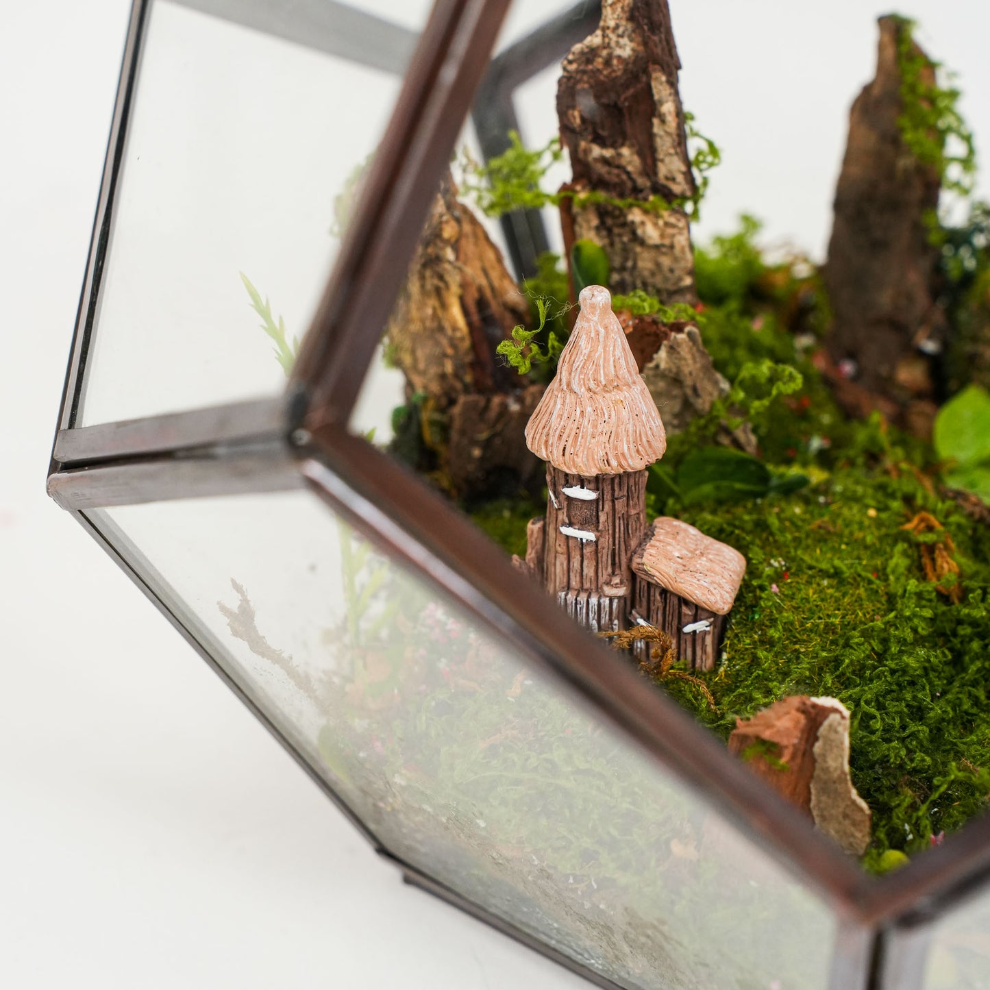 Fern Hollow