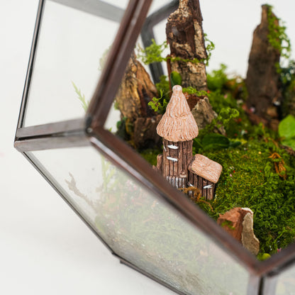 Fern Hollow