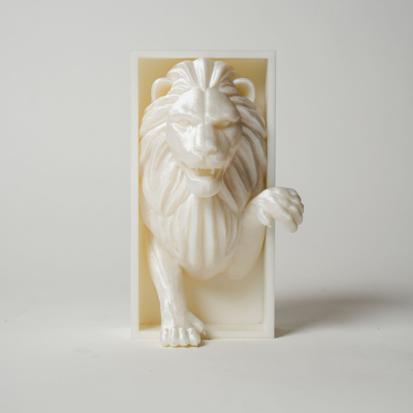 Lion Book Nook
