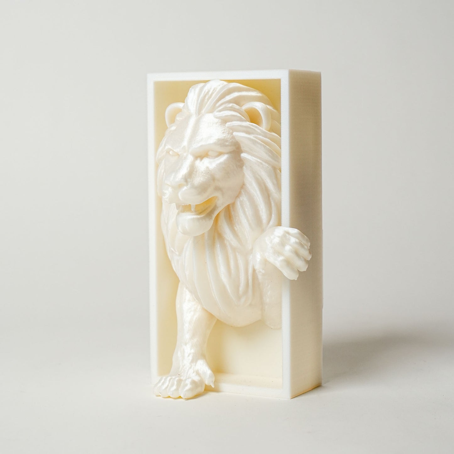 Lion Book Nook