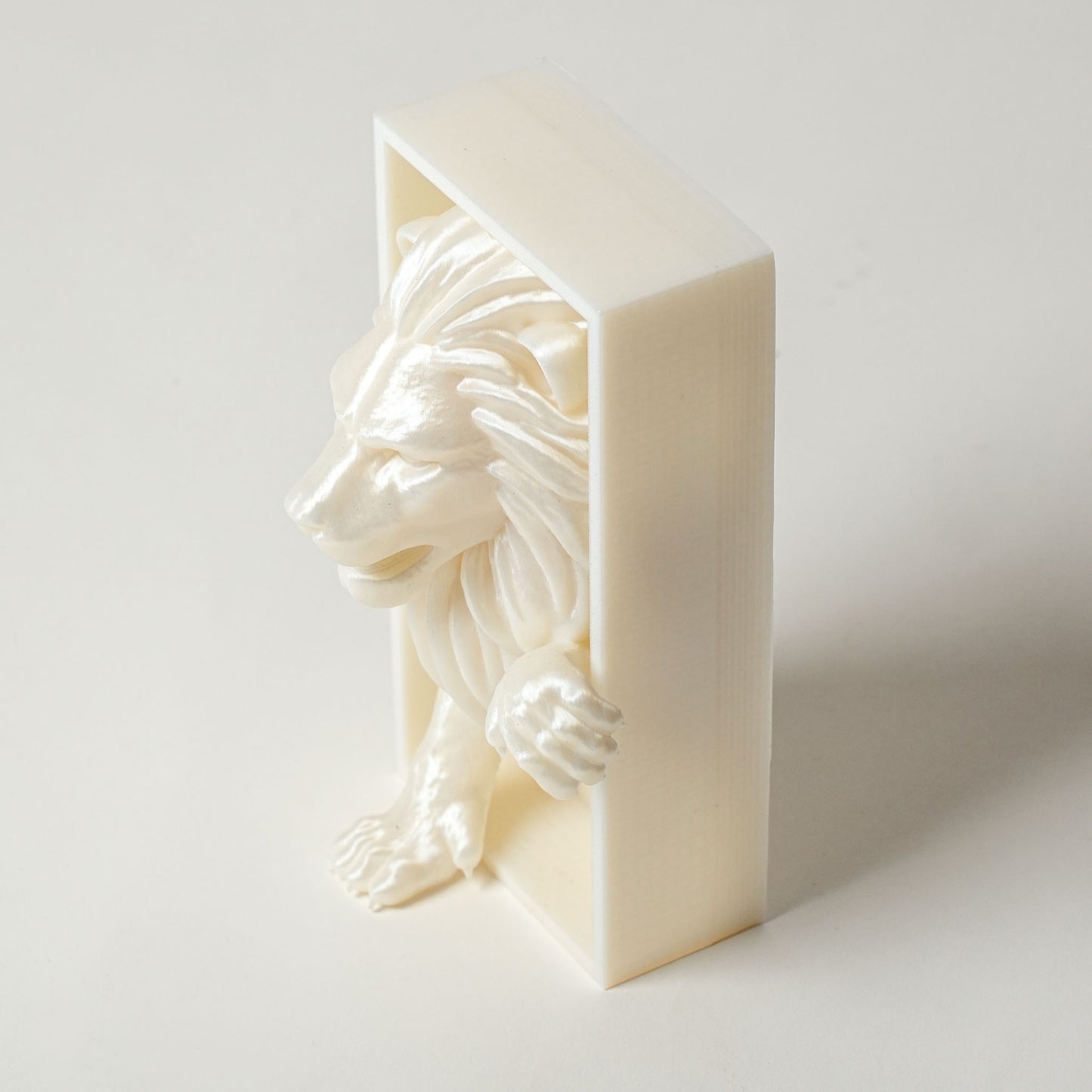 Lion Book Nook