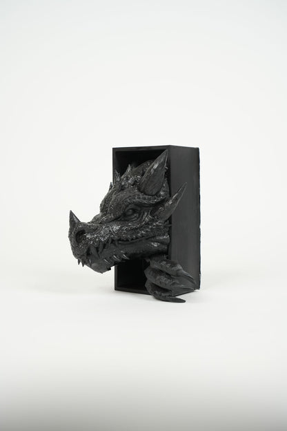 Dragoryn Book Nook-Dark