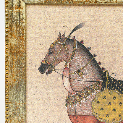 Equine Grace Frames