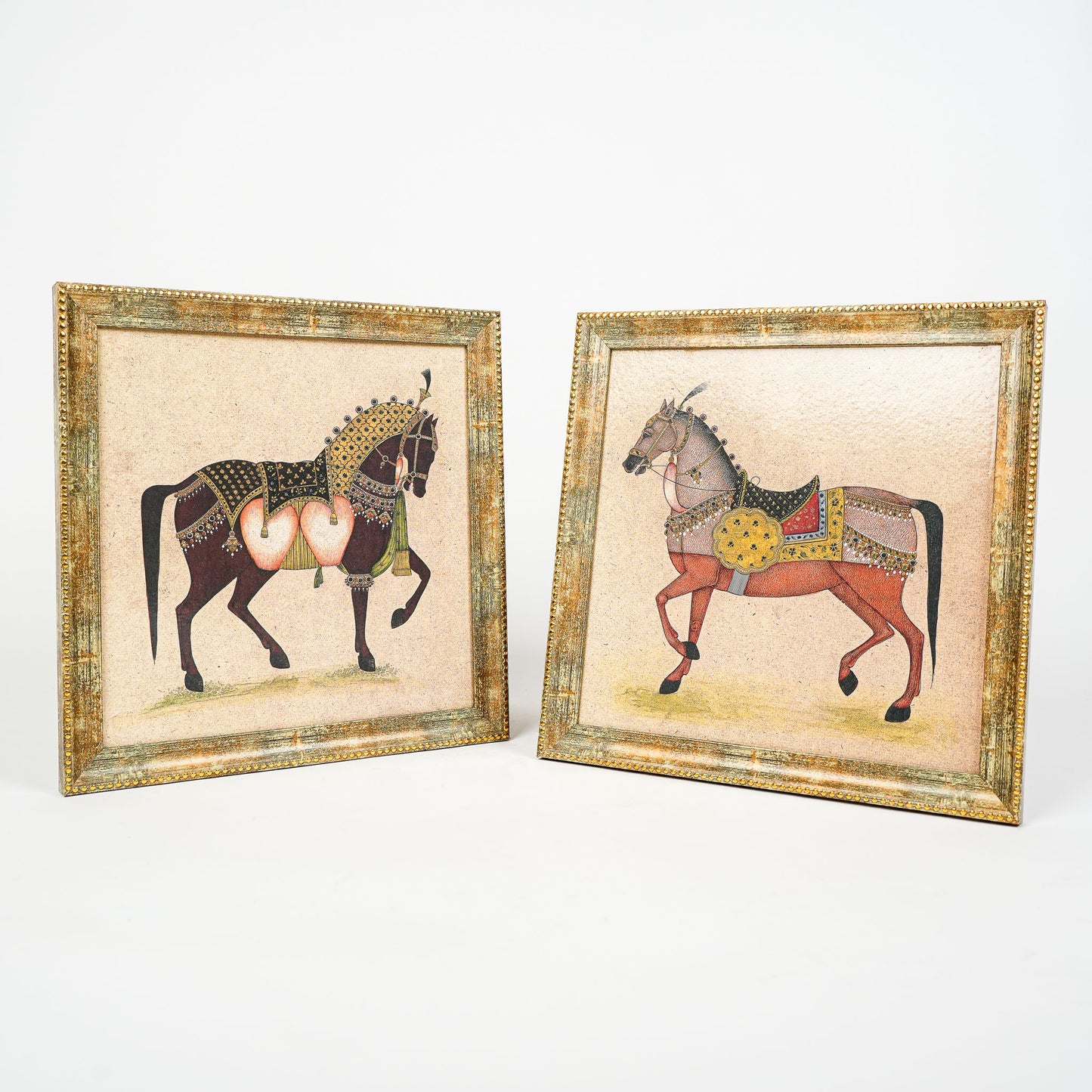 Equine Grace Frames